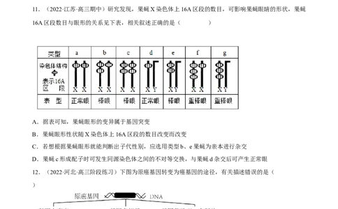 解密09生物的变异（分层训练)（原卷版）_新高考复习资料_2023年新高考复习资料_二轮复习_高频考点解密2023年高考生物二轮复习讲义+分层训练（全国通用）288808838