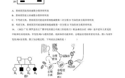 解密09生物的变异（分层训练)（原卷版）_新高考复习资料_2023年新高考复习资料_二轮复习_高频考点解密2023年高考生物二轮复习讲义+分层训练（全国通用）288808838