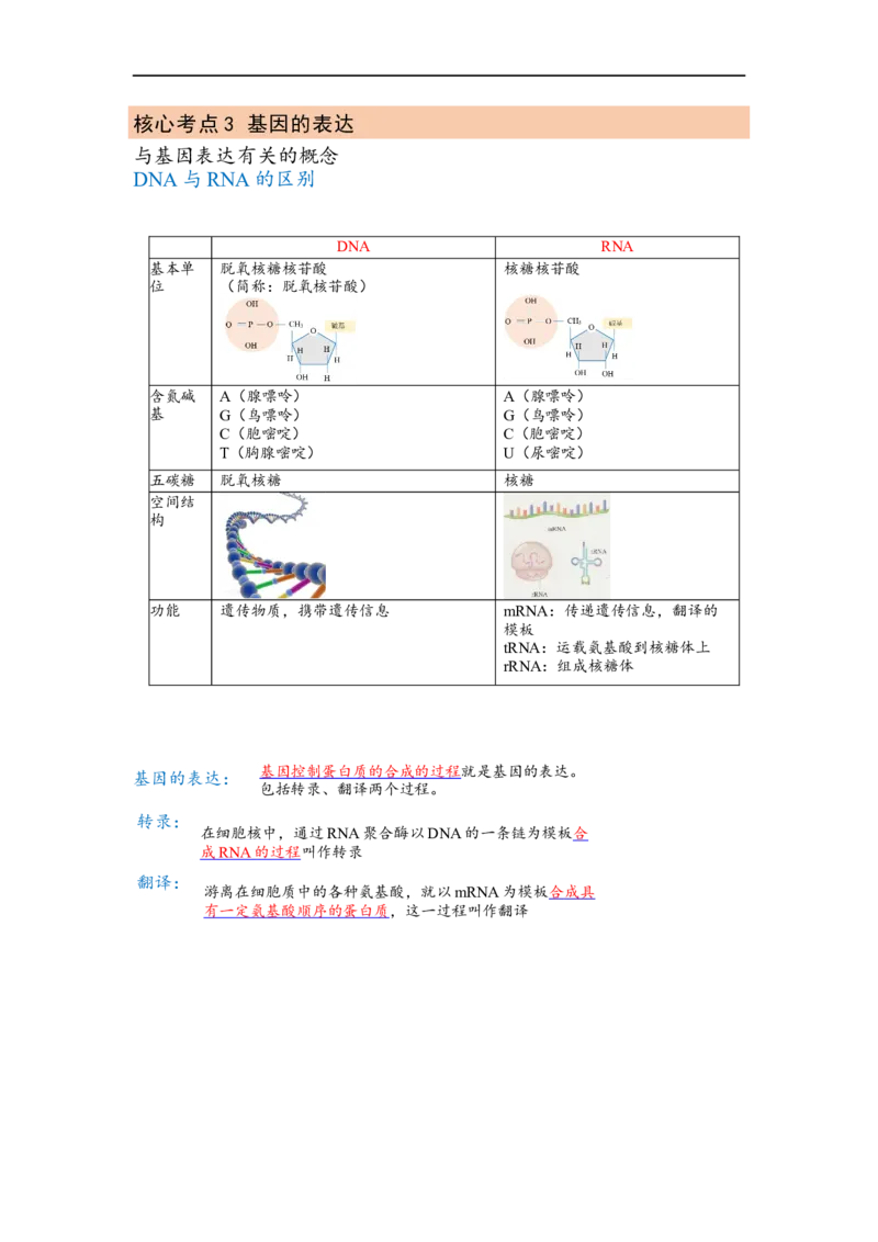 解密08遗传的分子学基础（讲义)（学生版）_通用版（老高考）复习资料_2023年复习资料_二轮复习_高频考点解密2023年高考生物二轮复习讲义+分层训练（全国通用）