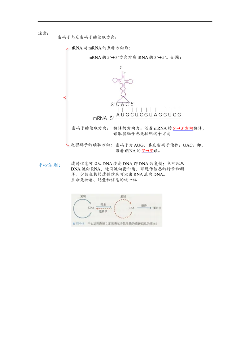 解密08遗传的分子学基础（讲义)（学生版）_通用版（老高考）复习资料_2023年复习资料_二轮复习_高频考点解密2023年高考生物二轮复习讲义+分层训练（全国通用）