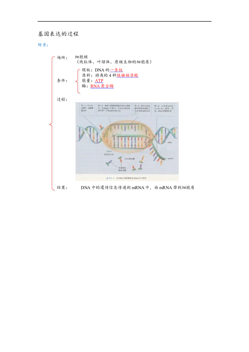 解密08遗传的分子学基础（讲义)（学生版）_通用版（老高考）复习资料_2023年复习资料_二轮复习_高频考点解密2023年高考生物二轮复习讲义+分层训练（全国通用）