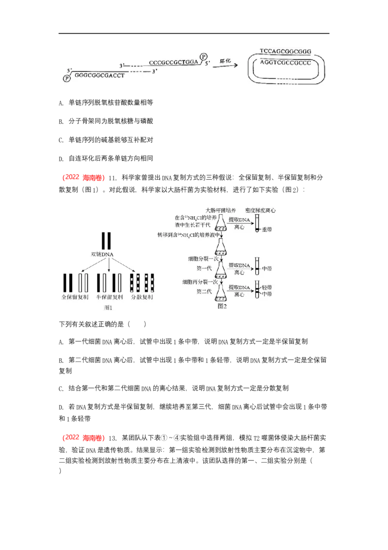 解密08遗传的分子学基础（讲义)（学生版）_通用版（老高考）复习资料_2023年复习资料_二轮复习_高频考点解密2023年高考生物二轮复习讲义+分层训练（全国通用）