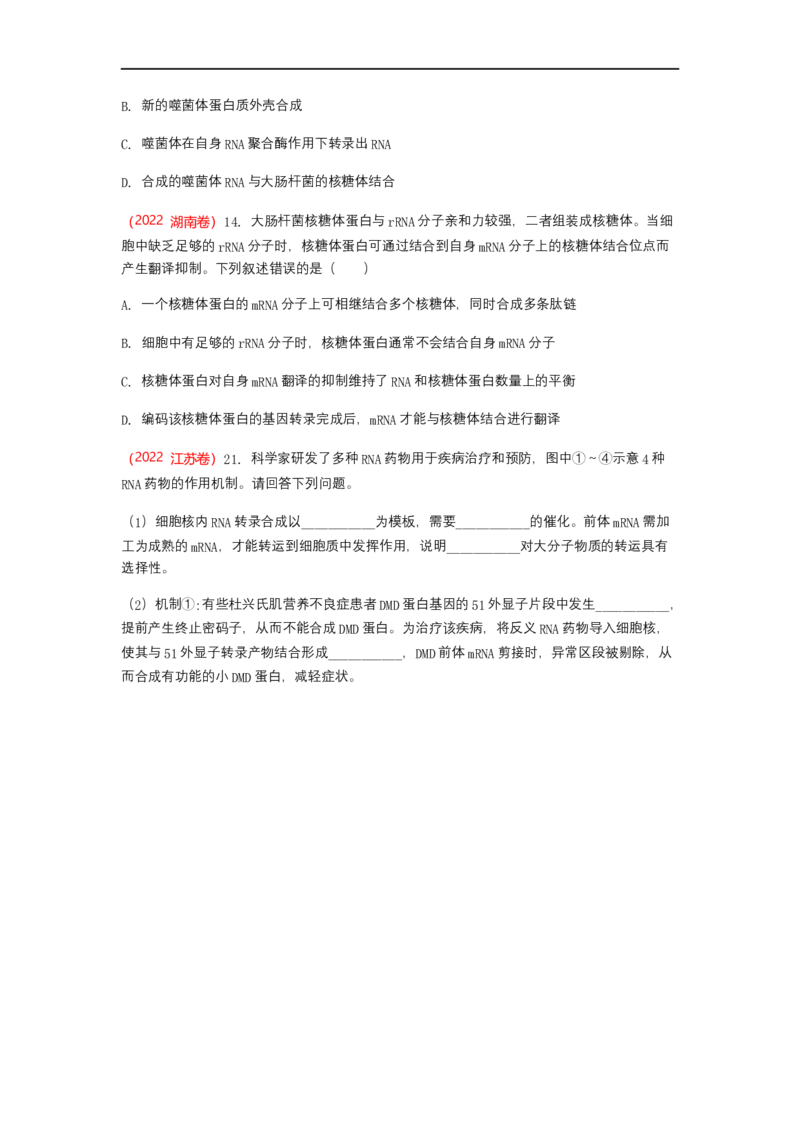 解密08遗传的分子学基础（讲义)（学生版）_通用版（老高考）复习资料_2023年复习资料_二轮复习_高频考点解密2023年高考生物二轮复习讲义+分层训练（全国通用）