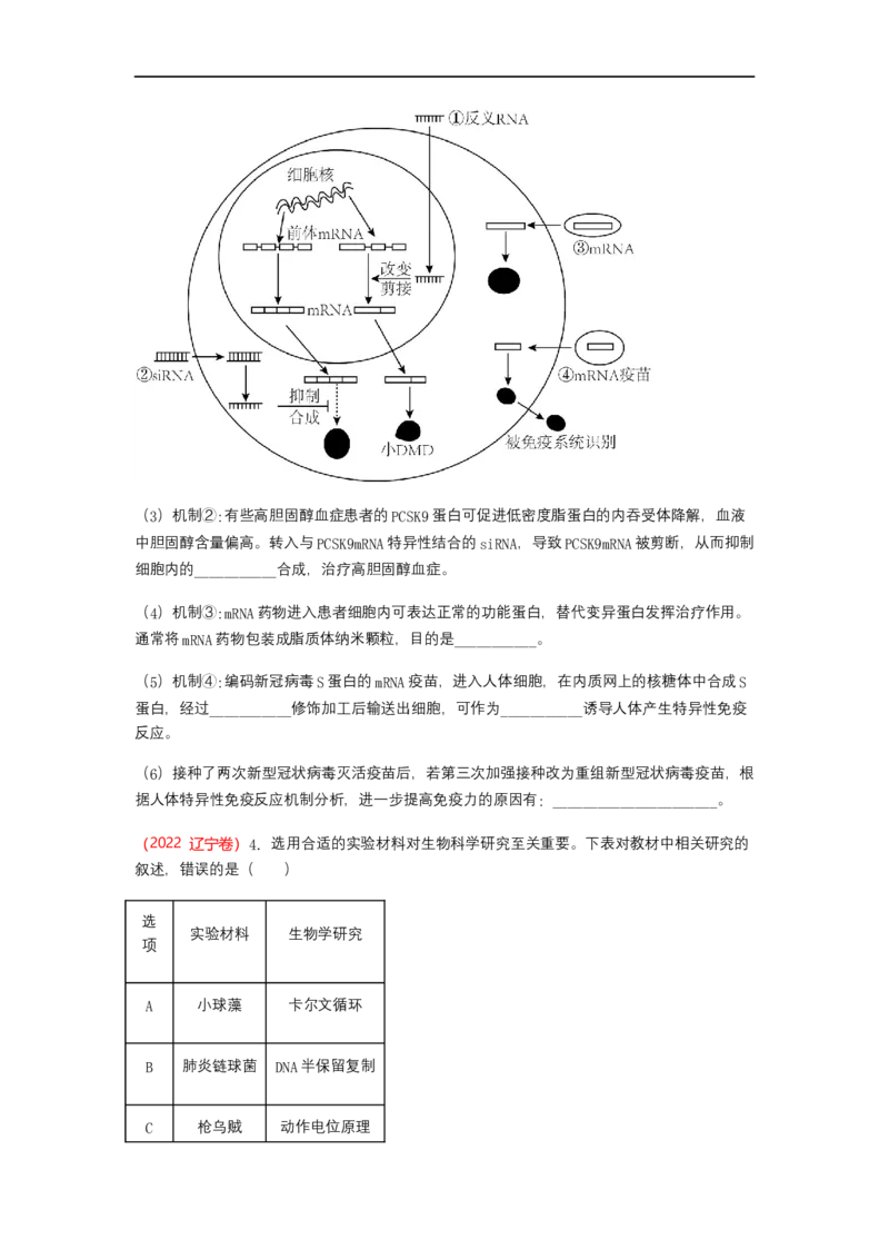 解密08遗传的分子学基础（讲义)（学生版）_通用版（老高考）复习资料_2023年复习资料_二轮复习_高频考点解密2023年高考生物二轮复习讲义+分层训练（全国通用）