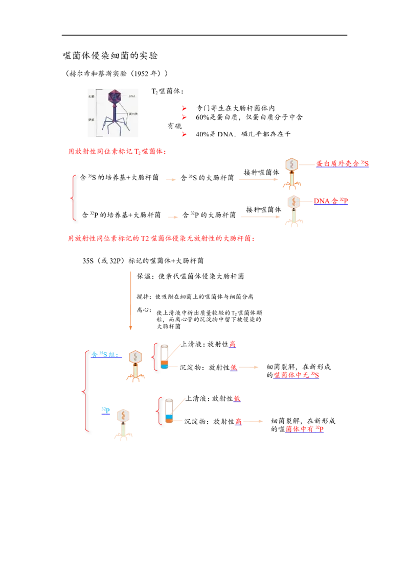 解密08遗传的分子学基础（讲义)（学生版）_通用版（老高考）复习资料_2023年复习资料_二轮复习_高频考点解密2023年高考生物二轮复习讲义+分层训练（全国通用）