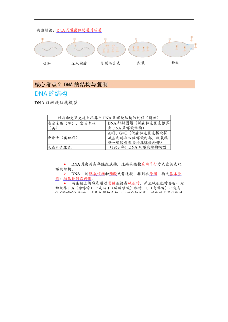 解密08遗传的分子学基础（讲义)（学生版）_通用版（老高考）复习资料_2023年复习资料_二轮复习_高频考点解密2023年高考生物二轮复习讲义+分层训练（全国通用）