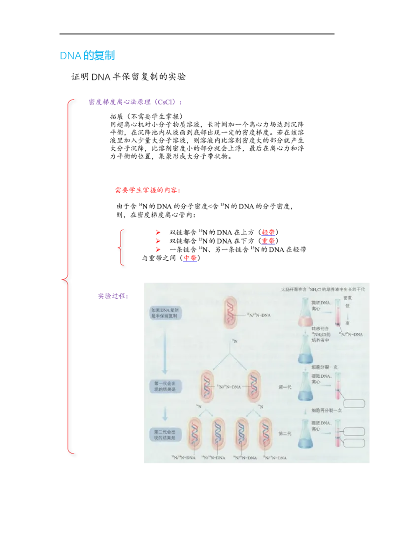 解密08遗传的分子学基础（讲义)（学生版）_通用版（老高考）复习资料_2023年复习资料_二轮复习_高频考点解密2023年高考生物二轮复习讲义+分层训练（全国通用）