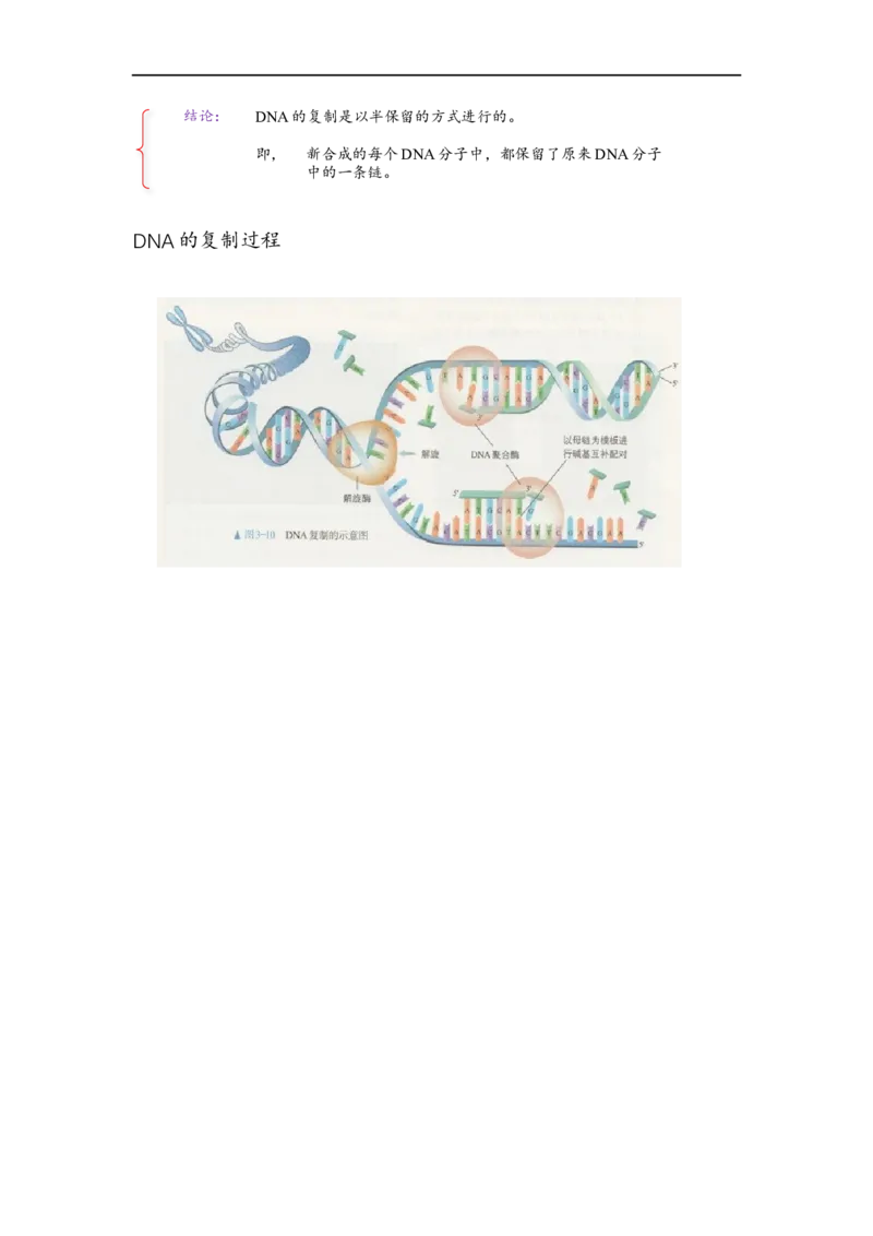 解密08遗传的分子学基础（讲义)（学生版）_通用版（老高考）复习资料_2023年复习资料_二轮复习_高频考点解密2023年高考生物二轮复习讲义+分层训练（全国通用）