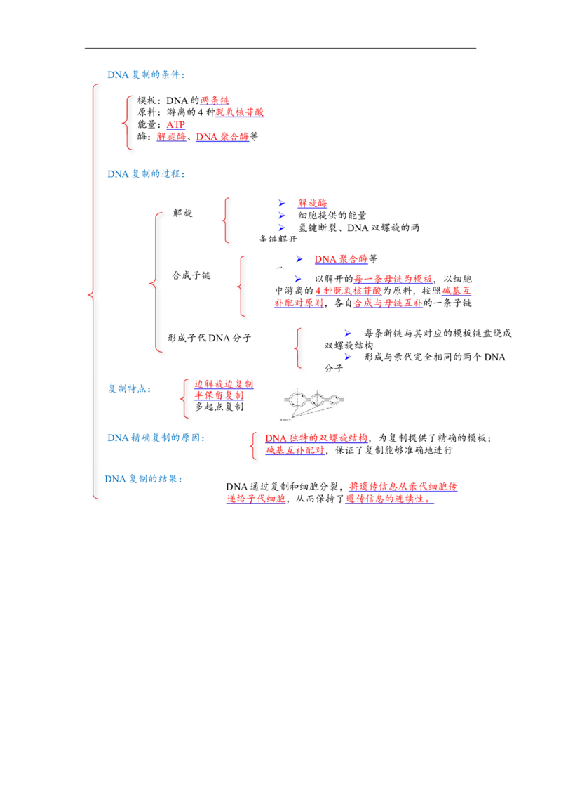 解密08遗传的分子学基础（讲义)（学生版）_通用版（老高考）复习资料_2023年复习资料_二轮复习_高频考点解密2023年高考生物二轮复习讲义+分层训练（全国通用）