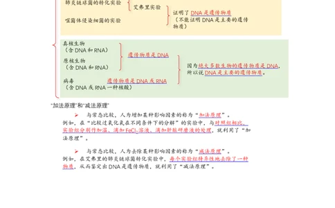 解密08遗传的分子学基础（讲义)（学生版）_通用版（老高考）复习资料_2023年复习资料_二轮复习_高频考点解密2023年高考生物二轮复习讲义+分层训练（全国通用）