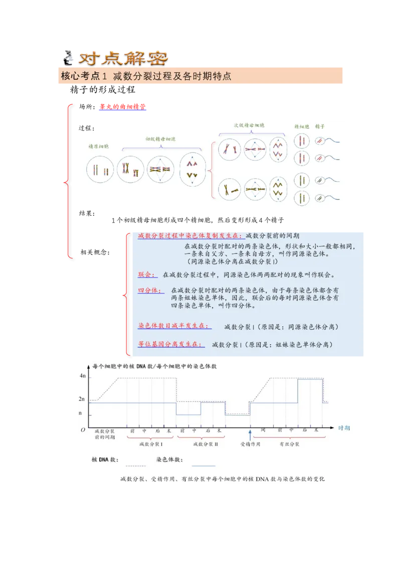 解密07遗传的细胞学基础（讲义)（教师版）_新高考复习资料_2023年新高考复习资料_二轮复习_高频考点解密2023年高考生物二轮复习讲义+分层训练（全国通用）288808838