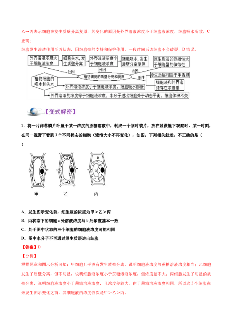 解密03物质跨膜运输的实例及物质运输的方式（讲义）-高频考点解密2021年高考生物二轮复习讲义+分层训练_新高考复习资料_2021年新高考资料