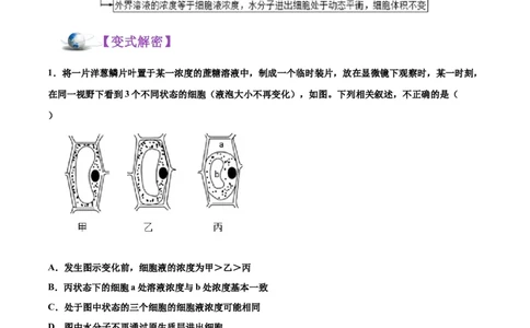 解密03物质跨膜运输的实例及物质运输的方式（讲义）-高频考点解密2021年高考生物二轮复习讲义+分层训练_新高考复习资料_2021年新高考资料