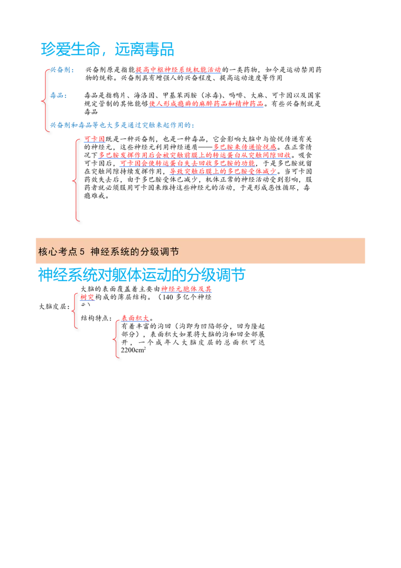 解密11神经调节（讲义)（教师版）_新高考复习资料_2023年新高考复习资料_二轮复习_高频考点解密2023年高考生物二轮复习讲义+分层训练（全国通用）288808838