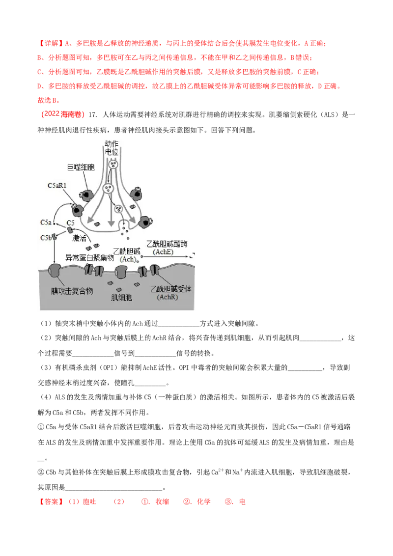 解密11神经调节（讲义)（教师版）_新高考复习资料_2023年新高考复习资料_二轮复习_高频考点解密2023年高考生物二轮复习讲义+分层训练（全国通用）288808838