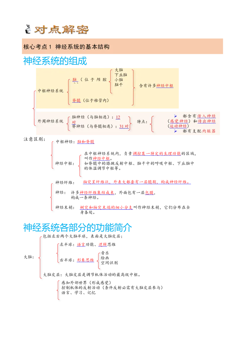 解密11神经调节（讲义)（教师版）_新高考复习资料_2023年新高考复习资料_二轮复习_高频考点解密2023年高考生物二轮复习讲义+分层训练（全国通用）288808838