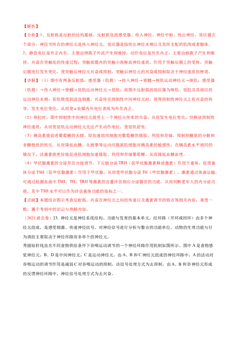 解密11神经调节（讲义)（教师版）_新高考复习资料_2023年新高考复习资料_二轮复习_高频考点解密2023年高考生物二轮复习讲义+分层训练（全国通用）288808838