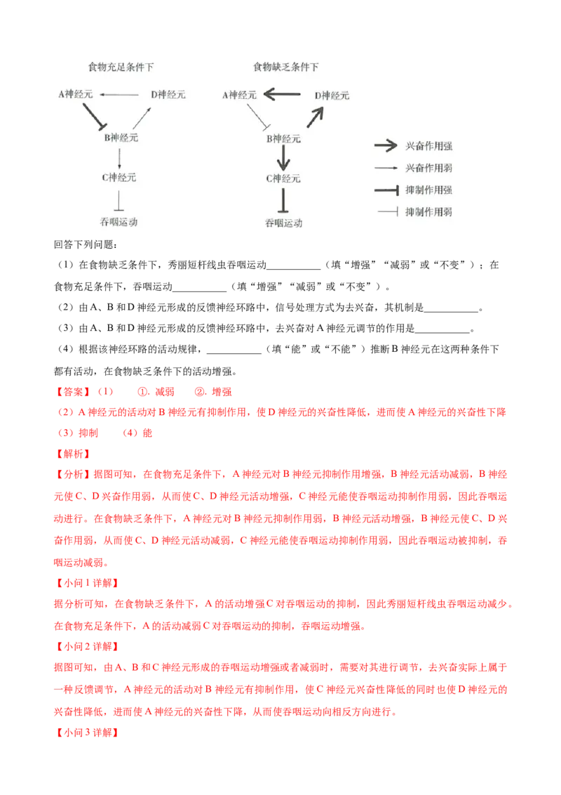 解密11神经调节（讲义)（教师版）_新高考复习资料_2023年新高考复习资料_二轮复习_高频考点解密2023年高考生物二轮复习讲义+分层训练（全国通用）288808838
