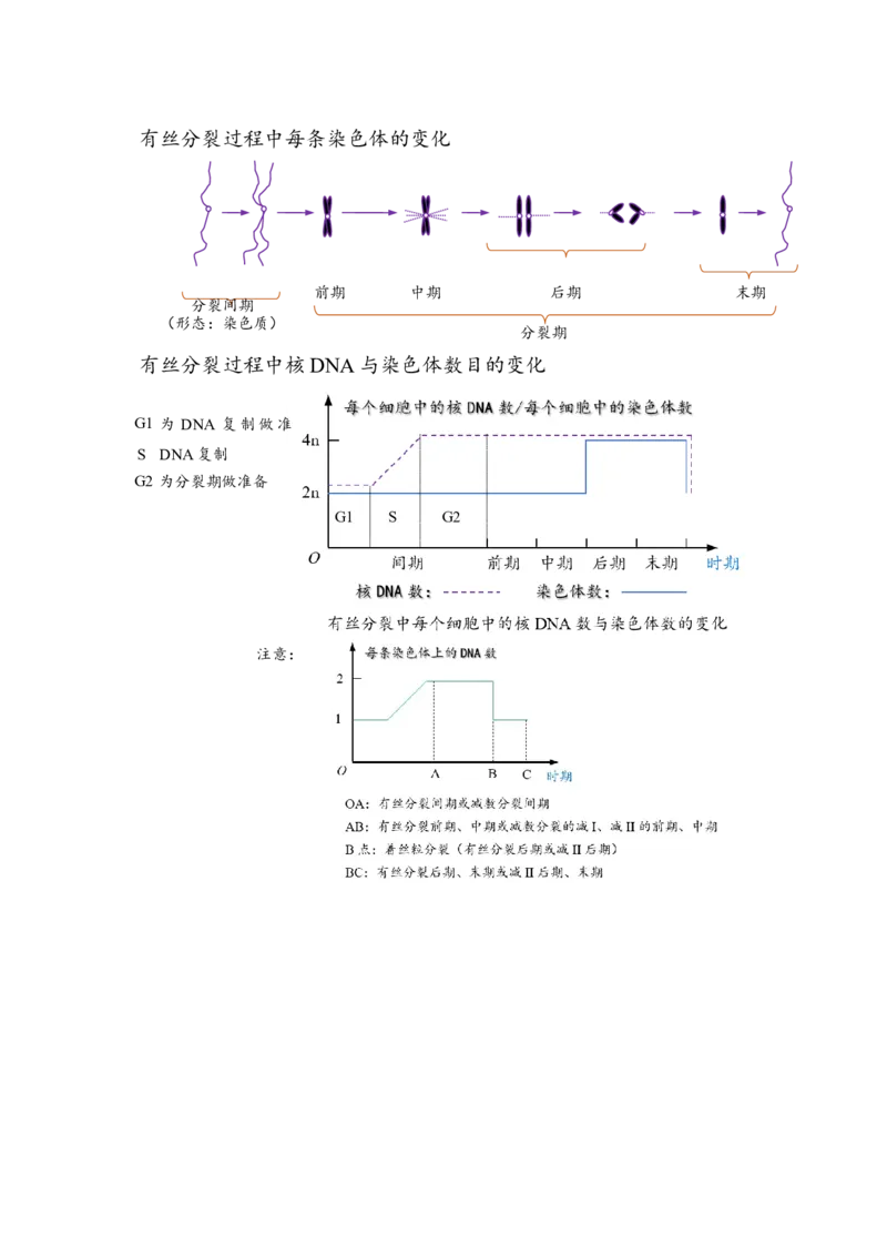 解密05细胞的生命历程（讲义)（学生版）_通用版（老高考）复习资料_2023年复习资料_二轮复习_高频考点解密2023年高考生物二轮复习讲义+分层训练（全国通用）