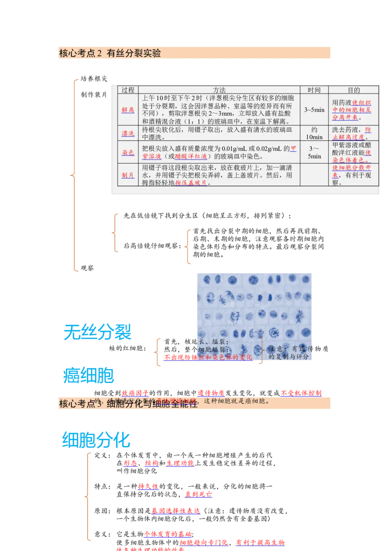 解密05细胞的生命历程（讲义)（学生版）_通用版（老高考）复习资料_2023年复习资料_二轮复习_高频考点解密2023年高考生物二轮复习讲义+分层训练（全国通用）