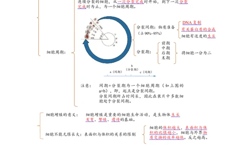 解密05细胞的生命历程（讲义)（学生版）_通用版（老高考）复习资料_2023年复习资料_二轮复习_高频考点解密2023年高考生物二轮复习讲义+分层训练（全国通用）