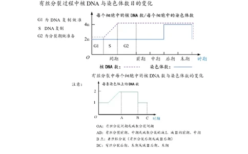 解密05细胞的生命历程（讲义)（学生版）_通用版（老高考）复习资料_2023年复习资料_二轮复习_高频考点解密2023年高考生物二轮复习讲义+分层训练（全国通用）