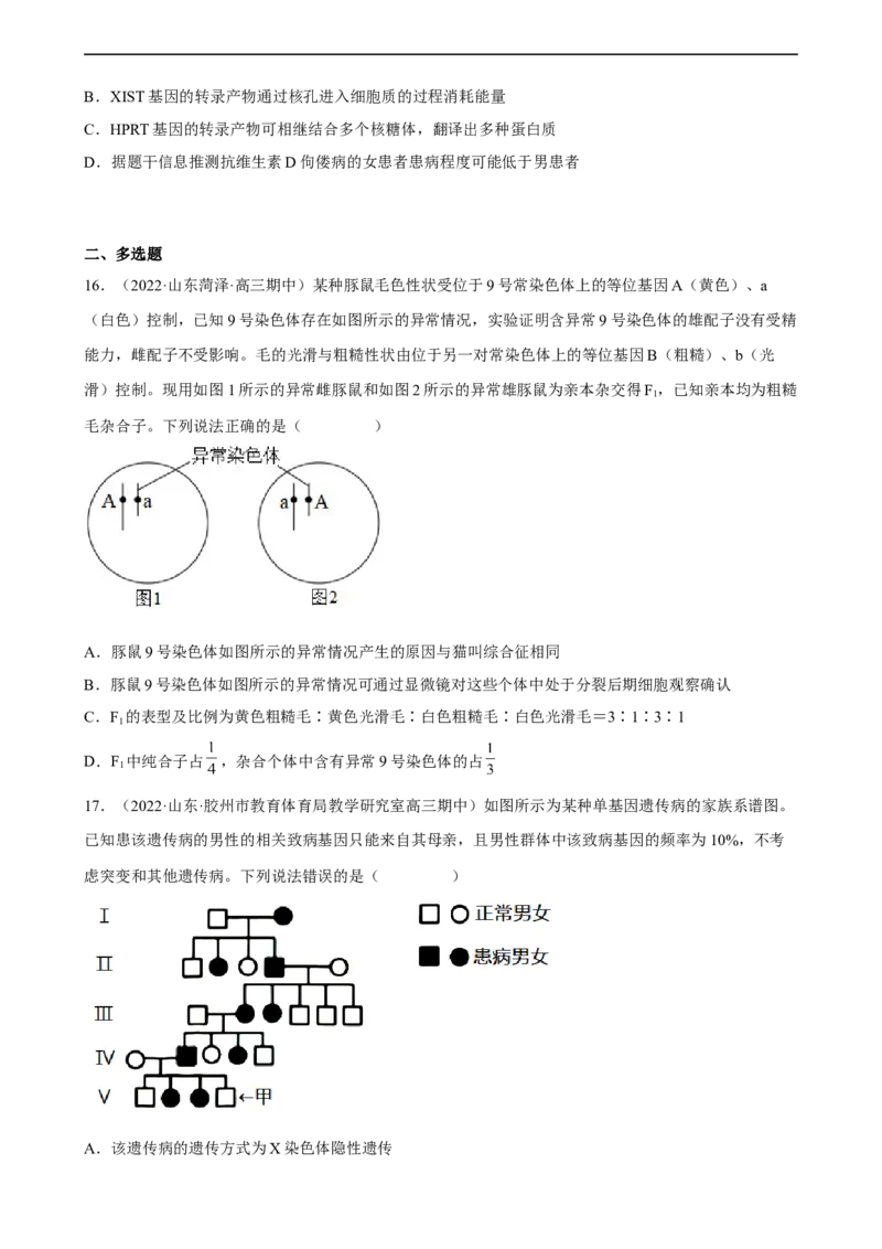 解密09生物的变异（分层训练)（原卷版）_通用版（老高考）复习资料_2023年复习资料_二轮复习_高频考点解密2023年高考生物二轮复习讲义+分层训练（全国通用）