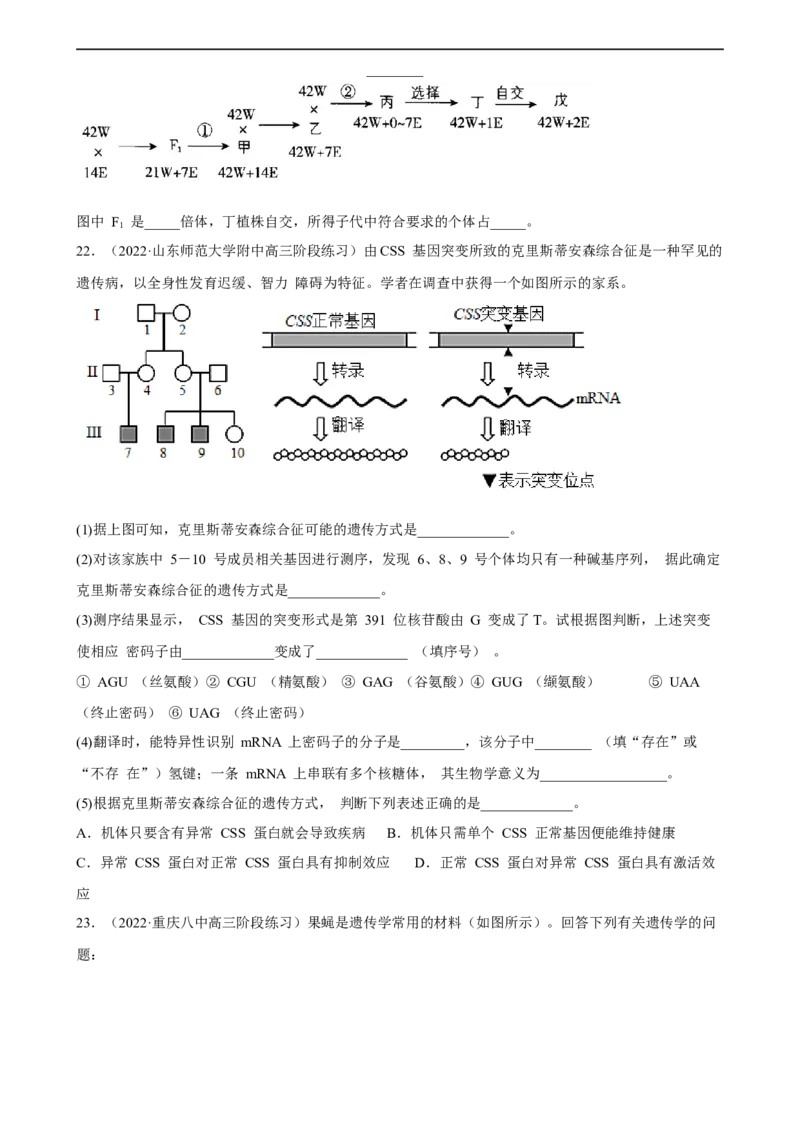 解密09生物的变异（分层训练)（原卷版）_通用版（老高考）复习资料_2023年复习资料_二轮复习_高频考点解密2023年高考生物二轮复习讲义+分层训练（全国通用）