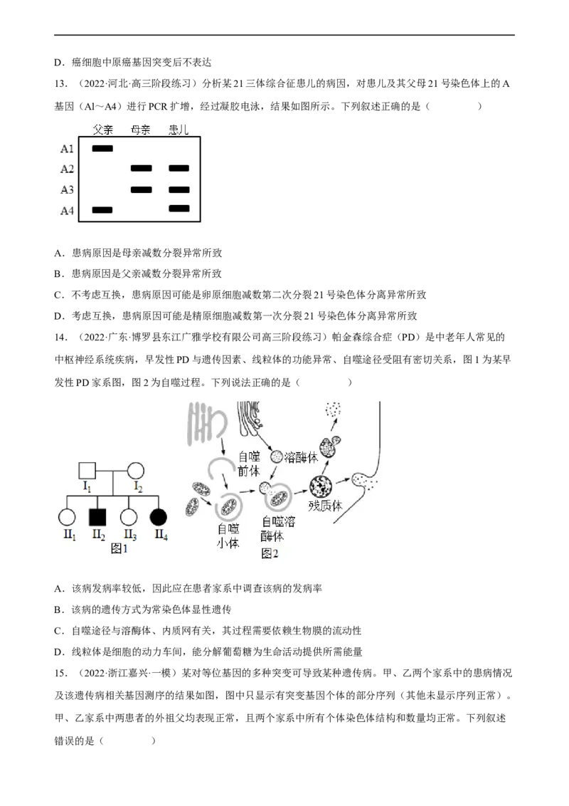 解密09生物的变异（分层训练)（原卷版）_通用版（老高考）复习资料_2023年复习资料_二轮复习_高频考点解密2023年高考生物二轮复习讲义+分层训练（全国通用）