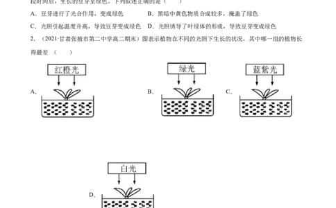 解密06能量之源&mdash;&mdash;光与光合作用（分层训练）（原卷版）_新高考复习资料_2021年新高考资料_高频考点解密2021年高考生物二轮复习讲义+分层训练4.7更新