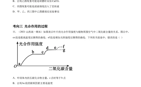 解密06能量之源&mdash;&mdash;光与光合作用（分层训练）（原卷版）_新高考复习资料_2021年新高考资料_高频考点解密2021年高考生物二轮复习讲义+分层训练4.7更新
