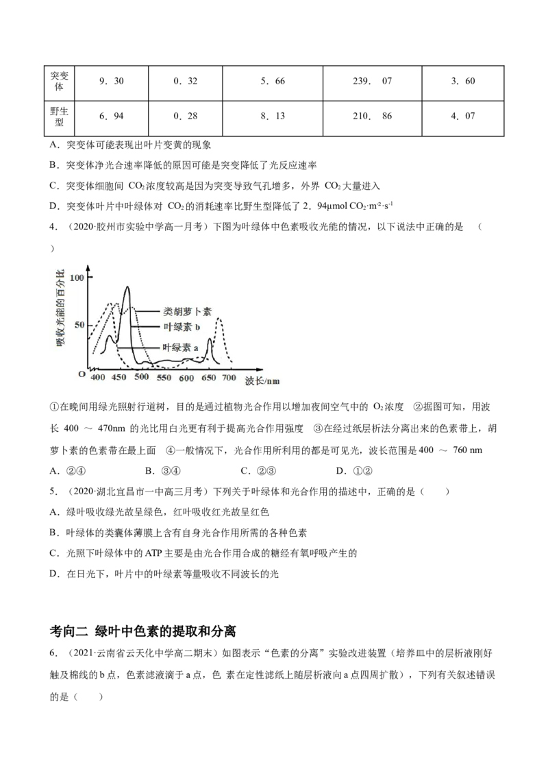 解密06能量之源&mdash;&mdash;光与光合作用（分层训练）（原卷版）_新高考复习资料_2021年新高考资料_高频考点解密2021年高考生物二轮复习讲义+分层训练4.7更新