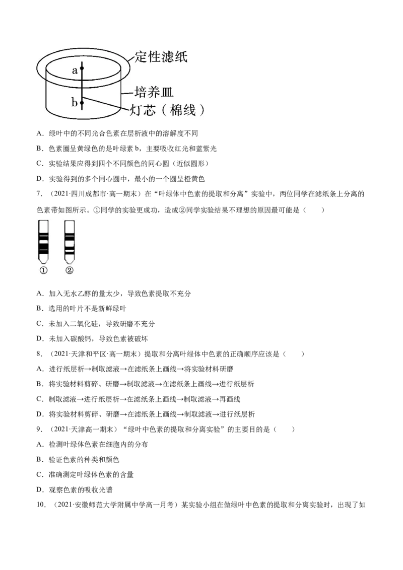 解密06能量之源&mdash;&mdash;光与光合作用（分层训练）（原卷版）_新高考复习资料_2021年新高考资料_高频考点解密2021年高考生物二轮复习讲义+分层训练4.7更新