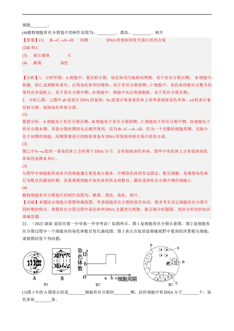 解密05细胞的生命历程（分层训练)（解析版）_通用版（老高考）复习资料_2023年复习资料_二轮复习_高频考点解密2023年高考生物二轮复习讲义+分层训练（全国通用）