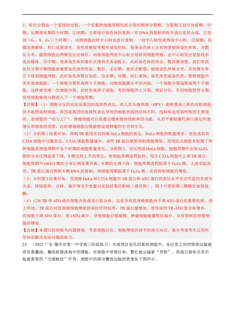 解密05细胞的生命历程（分层训练)（解析版）_通用版（老高考）复习资料_2023年复习资料_二轮复习_高频考点解密2023年高考生物二轮复习讲义+分层训练（全国通用）