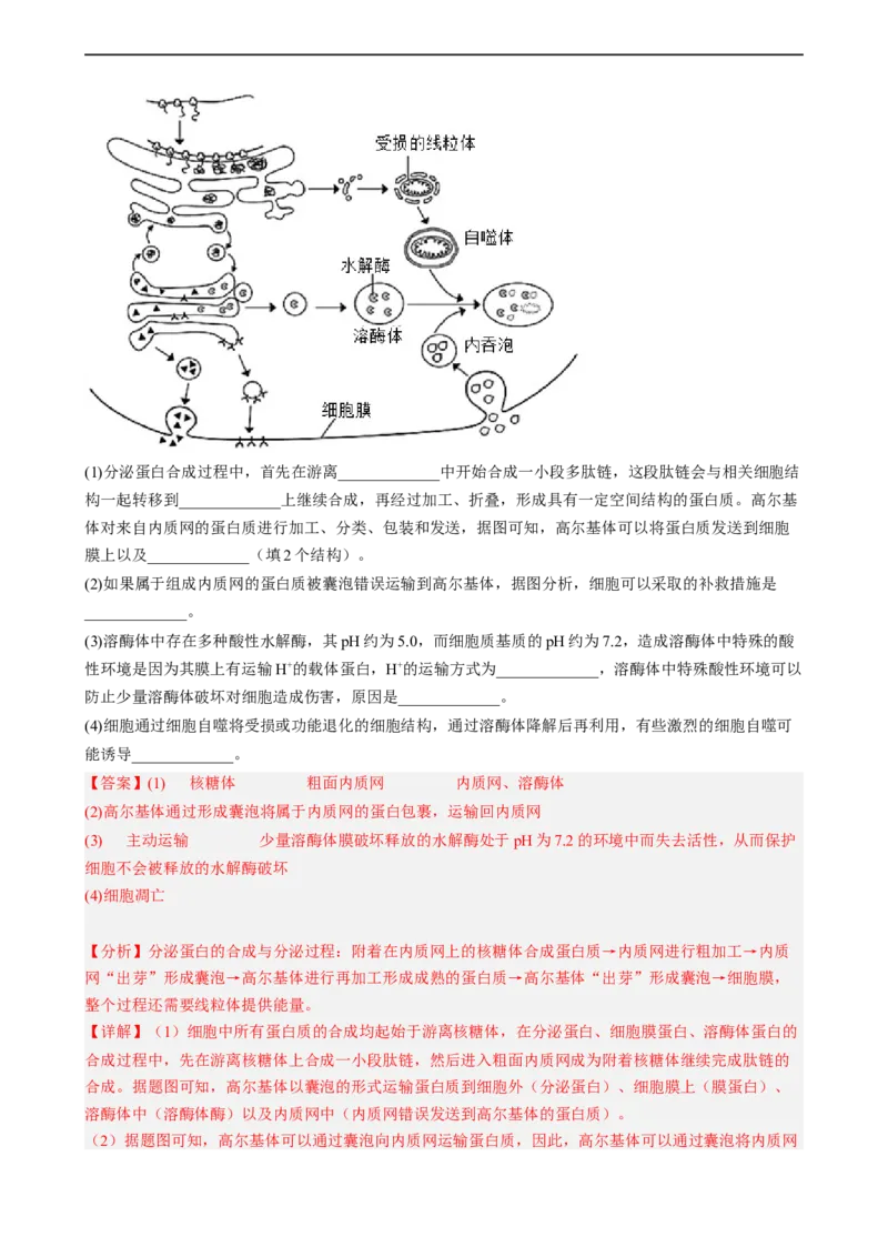 解密05细胞的生命历程（分层训练)（解析版）_通用版（老高考）复习资料_2023年复习资料_二轮复习_高频考点解密2023年高考生物二轮复习讲义+分层训练（全国通用）