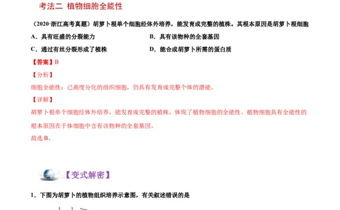 解密09细胞的分化、衰老、凋亡及癌变（讲义）-高频考点解密2021年高考生物二轮复习讲义+分层训练_新高考复习资料_2021年新高考资料