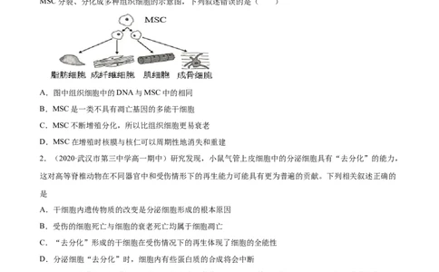 解密09细胞的分化、衰老、凋亡及癌变（分层训练）（原卷版）_新高考复习资料_2021年新高考资料_高频考点解密2021年高考生物二轮复习讲义+分层训练4.7更新