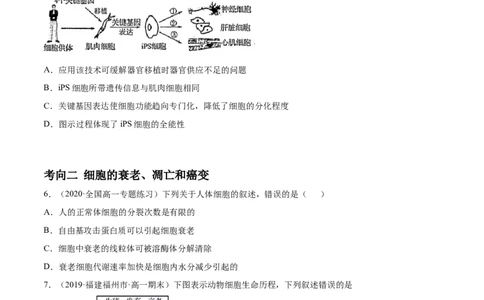 解密09细胞的分化、衰老、凋亡及癌变（分层训练）（原卷版）_新高考复习资料_2021年新高考资料_高频考点解密2021年高考生物二轮复习讲义+分层训练4.7更新