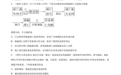 解密09细胞的分化、衰老、凋亡及癌变（分层训练）（原卷版）_新高考复习资料_2021年新高考资料_高频考点解密2021年高考生物二轮复习讲义+分层训练4.7更新