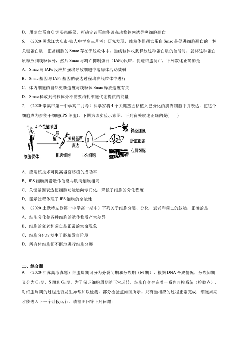解密09细胞的分化、衰老、凋亡及癌变（分层训练）（原卷版）_新高考复习资料_2021年新高考资料_高频考点解密2021年高考生物二轮复习讲义+分层训练4.7更新