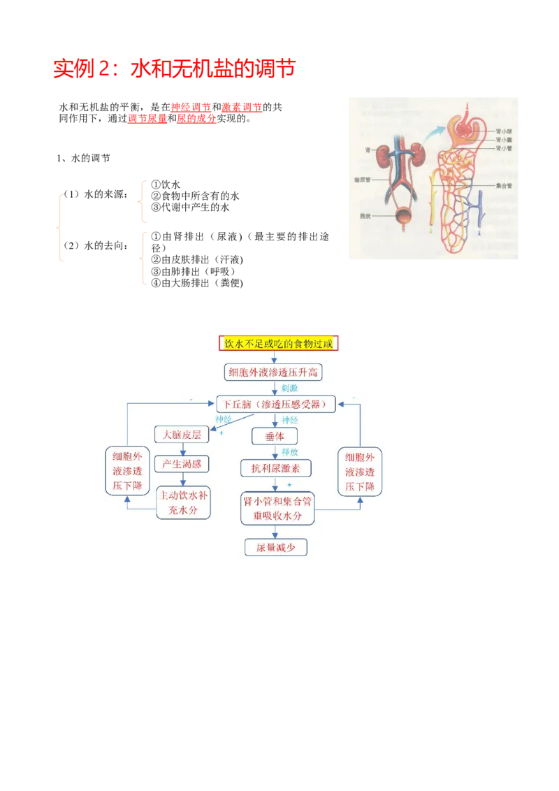 解密12体液调节（讲义)（学生版）_新高考复习资料_2023年新高考复习资料_二轮复习_高频考点解密2023年高考生物二轮复习讲义+分层训练（全国通用）288808838