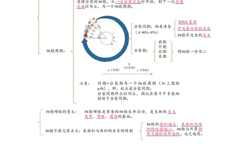 解密05细胞的生命历程（讲义)（学生版）_新高考复习资料_2023年新高考复习资料_二轮复习_高频考点解密2023年高考生物二轮复习讲义+分层训练（全国通用）288808838