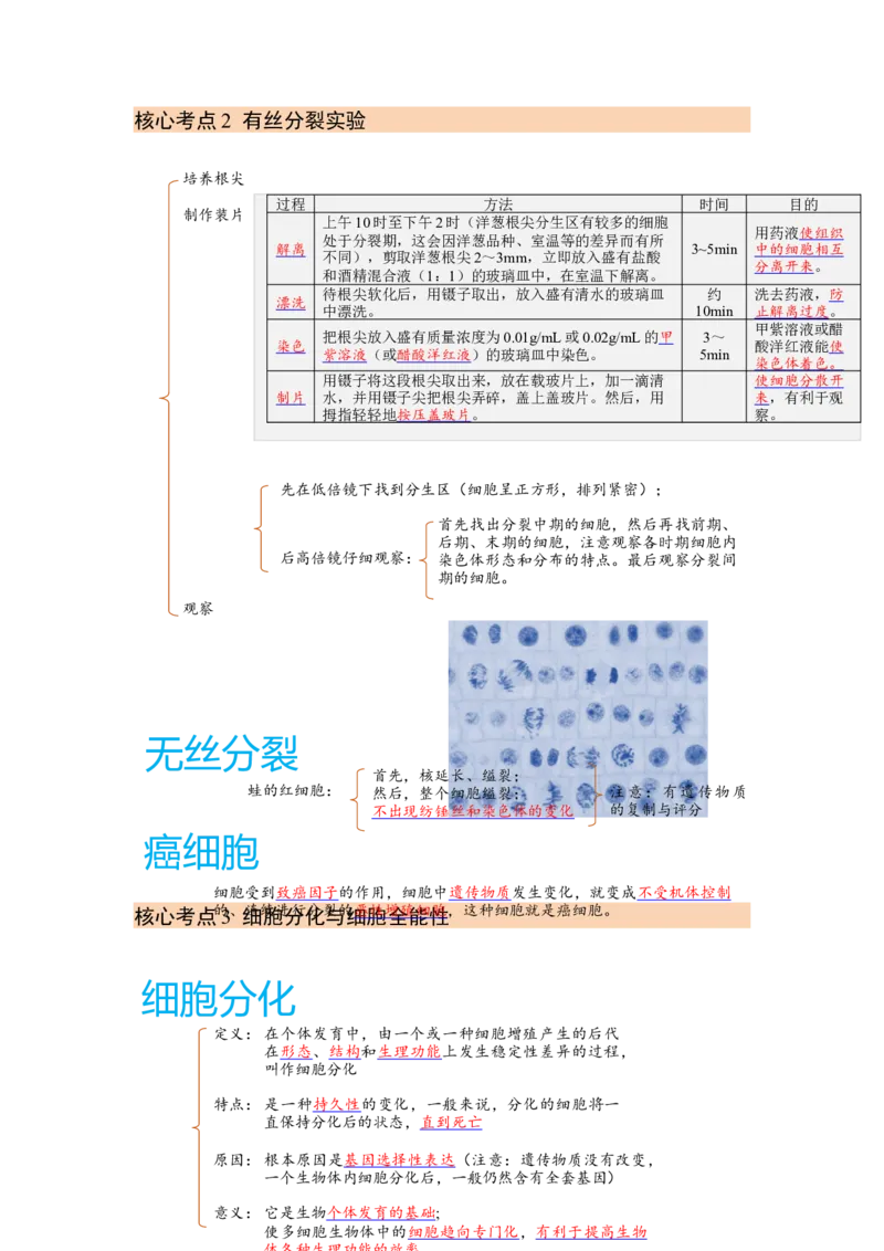 解密05细胞的生命历程（讲义)（学生版）_新高考复习资料_2023年新高考复习资料_二轮复习_高频考点解密2023年高考生物二轮复习讲义+分层训练（全国通用）288808838