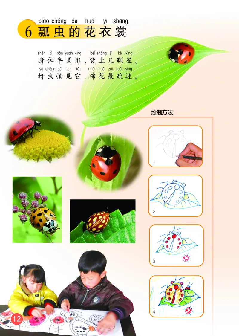（五四）美术一年级下册_电子课本_小学电子课本_07美术_鲁教版_小学美术鲁教版1-5下册