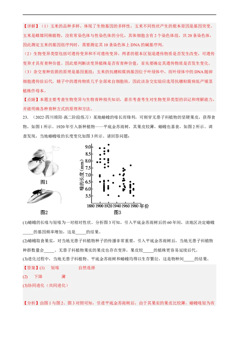 解密10生物的进化（分层训练)（解析版）_通用版（老高考）复习资料_2023年复习资料_二轮复习_高频考点解密2023年高考生物二轮复习讲义+分层训练（全国通用）
