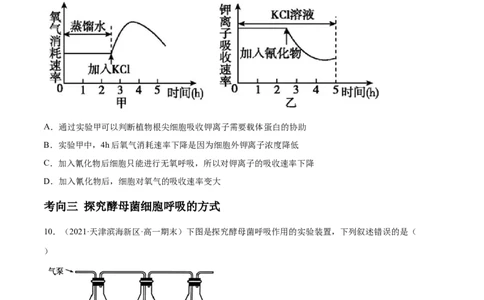 解密05ATP的主要来源（分层训练）（原卷版）_新高考复习资料_2021年新高考资料_高频考点解密2021年高考生物二轮复习讲义+分层训练4.7更新