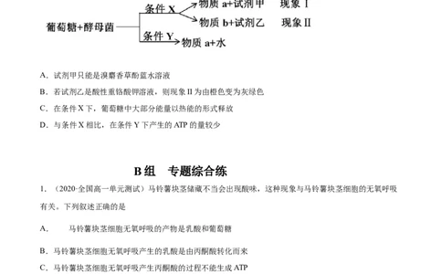 解密05ATP的主要来源（分层训练）（原卷版）_新高考复习资料_2021年新高考资料_高频考点解密2021年高考生物二轮复习讲义+分层训练4.7更新