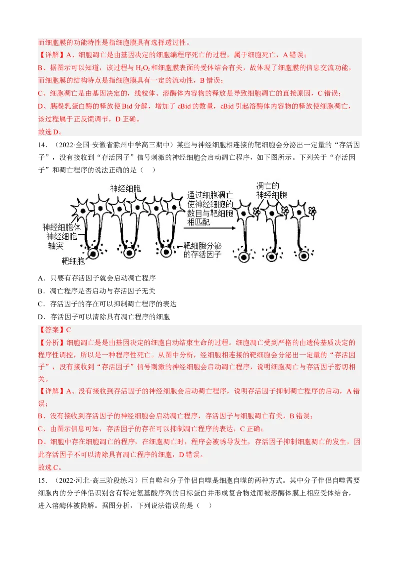 解密05细胞的生命历程（分层训练)（解析版）_新高考复习资料_2023年新高考复习资料_二轮复习_高频考点解密2023年高考生物二轮复习讲义+分层训练（全国通用）288808838