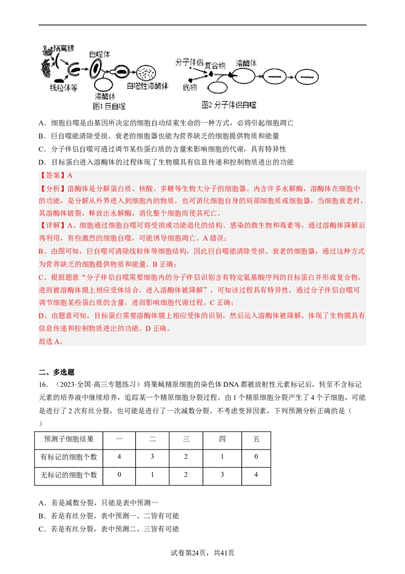 解密05细胞的生命历程（分层训练)（解析版）_新高考复习资料_2023年新高考复习资料_二轮复习_高频考点解密2023年高考生物二轮复习讲义+分层训练（全国通用）288808838